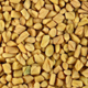 Herbs For Hair - Fenugreek (Trigonella foenum graecum)