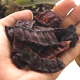 Herbs For Hair - Shikakai (Acacia Concinna)